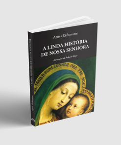 A LINDA HISTÓRIA DE NOSSA SENHORA - AGNÈS RICHOMME